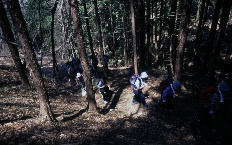 高川山